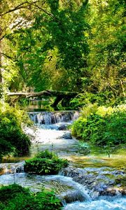 Превью обои ручей, река, потоки, зеленый, лес, свет, деревья, солнечно, ветки, каскады