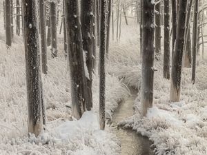 Превью обои ручей, рука, заморозки, деревья