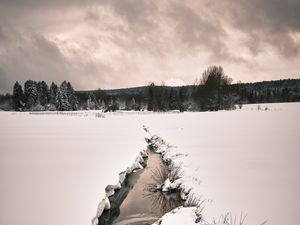 Превью обои ручей, снег, поле, деревья, зима, природа