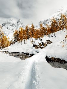 Превью обои ручей, снег, тропинка, горы, деревья, зима