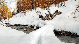 Превью обои ручей, снег, тропинка, горы, деревья, зима