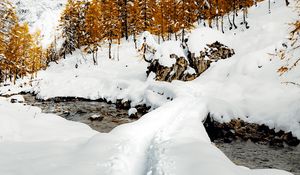 Превью обои ручей, снег, тропинка, горы, деревья, зима