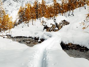 Превью обои ручей, снег, тропинка, горы, деревья, зима