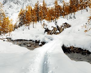 Превью обои ручей, снег, тропинка, горы, деревья, зима