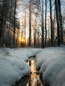 Превью обои ручей, солнце, снег, деревья