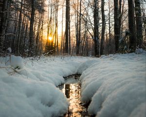 Превью обои ручей, солнце, снег, деревья