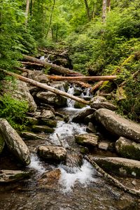 Превью обои ручей, вода, бревна, камни, природа