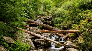 Превью обои ручей, вода, бревна, камни, природа