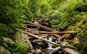 Превью обои ручей, вода, бревна, камни, природа