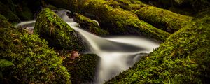 Превью обои ручей, вода, дерево, мох, долгая выдержка