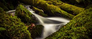 Превью обои ручей, вода, дерево, мох, долгая выдержка