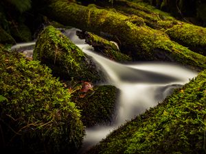 Превью обои ручей, вода, дерево, мох, долгая выдержка