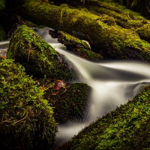 Превью обои ручей, вода, дерево, мох, долгая выдержка