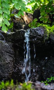 Превью обои ручей, вода, камень, мокрый, листья