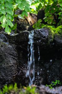 Превью обои ручей, вода, камень, мокрый, листья