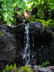 Превью обои ручей, вода, камень, мокрый, листья