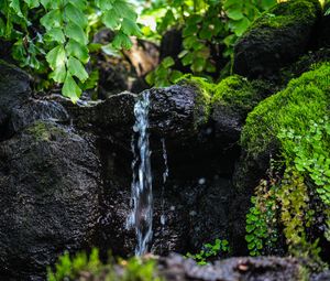 Превью обои ручей, вода, камень, мокрый, листья