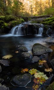 Превью обои ручей, вода, камни, лес, осень