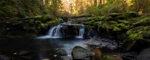 Превью обои ручей, вода, камни, лес, осень