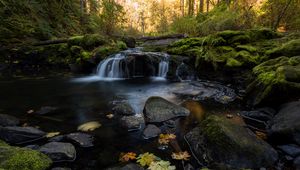 Превью обои ручей, вода, камни, лес, осень