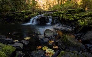 Превью обои ручей, вода, камни, лес, осень