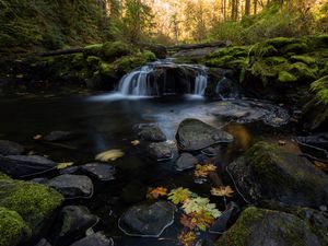 Превью обои ручей, вода, камни, лес, осень