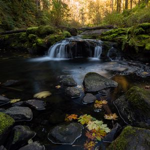 Превью обои ручей, вода, камни, лес, осень