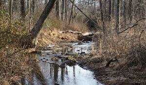 Превью обои ручей, вода, камни, деревья, кусты