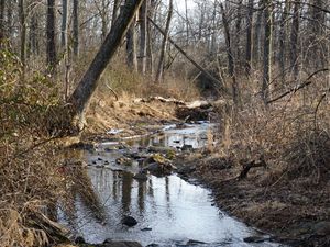 Превью обои ручей, вода, камни, деревья, кусты