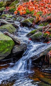 Превью обои ручей, вода, камни, природа