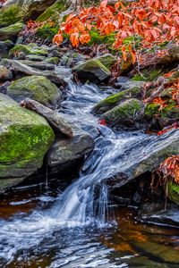 Превью обои ручей, вода, камни, природа