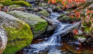 Превью обои ручей, вода, камни, природа