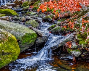 Превью обои ручей, вода, камни, природа