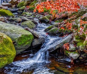 Превью обои ручей, вода, камни, природа