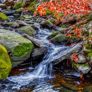 Превью обои ручей, вода, камни, природа