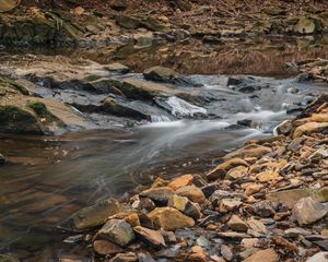 Превью обои ручей, вода, камни, мох, природа