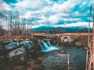 Превью обои ручей, вода, поток, камни, трава