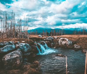 Превью обои ручей, вода, поток, камни, трава