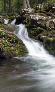 Превью обои ручей, вода, течение, природа