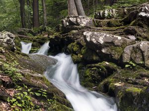 Превью обои ручей, вода, течение, природа