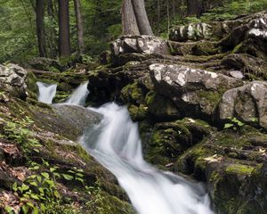 Превью обои ручей, вода, течение, природа