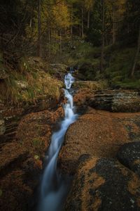 Превью обои ручей, водопад, камни, деревья