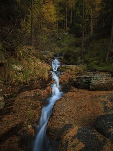 Превью обои ручей, водопад, камни, деревья