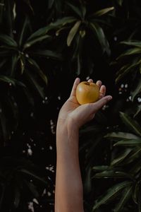 Превью обои рука, яблоко, листва, размытость