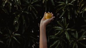 Превью обои рука, яблоко, листва, размытость