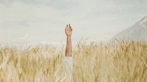 Превью обои рука, колосья, поле, небо