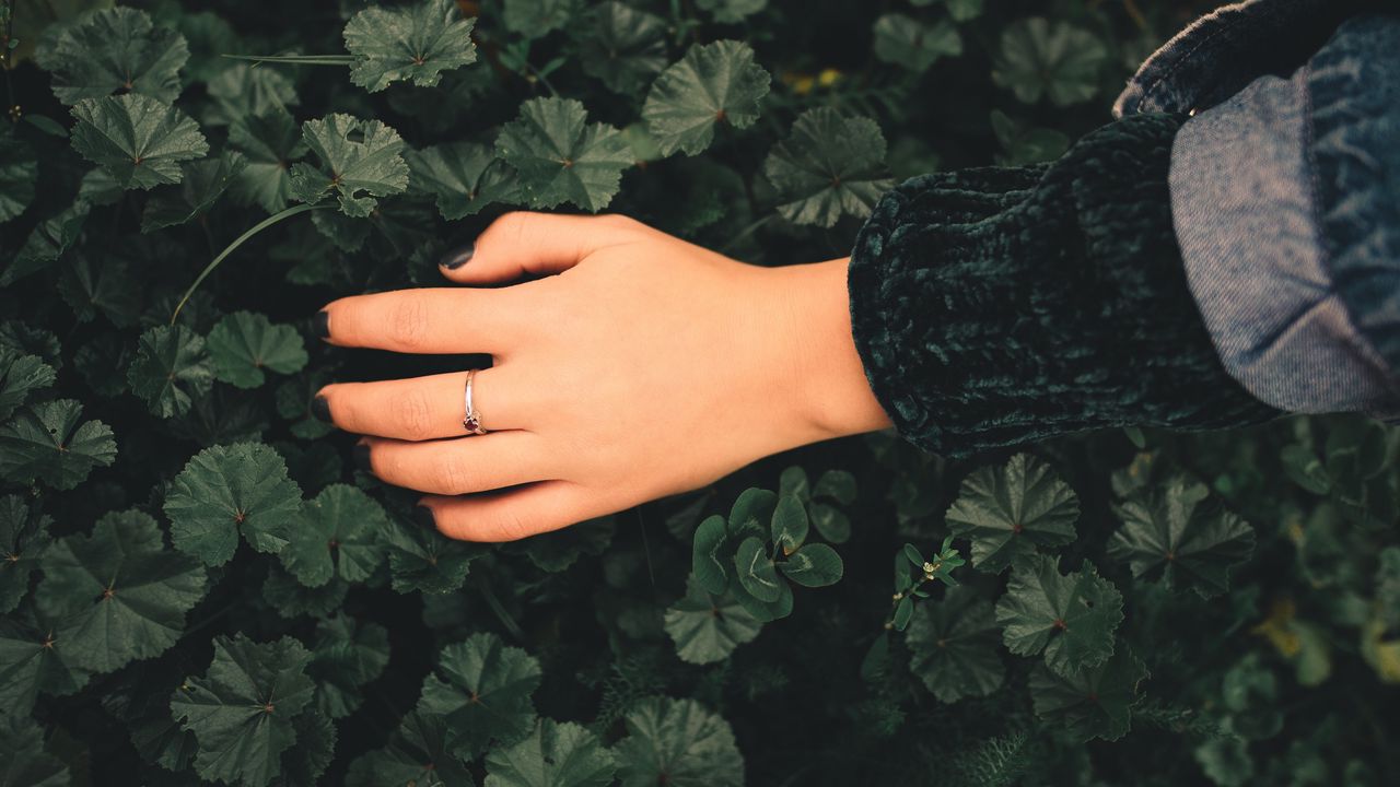 Обои рука, кольцо, листья