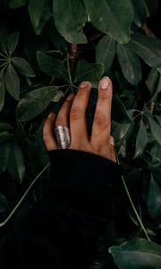Превью обои рука, кольцо, листья