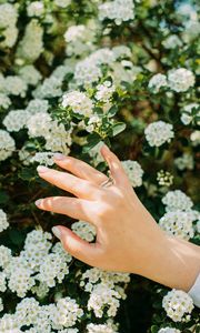 Превью обои рука, кольцо, цветы, цветение
