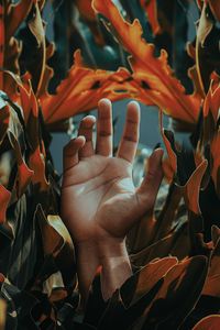 Превью обои рука, ладонь, листья, растение, пальцы
